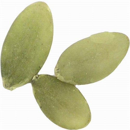 Pepitas, Hulled Raw by Oh! Nuts