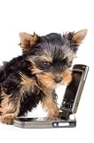 The Puppy with a Mobile Phone - 18