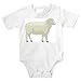 Onesie with wool, domestic, ewe, sheep, domesticated, female, livestock, tacka, animal