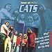 Best of the Cats