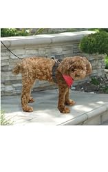 Harness - Red / Small