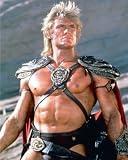DOLPH LUNDGREN 24X36 COLOR POSTER PRINT