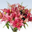 Pink Lilies Fresh Flower Bouquet