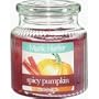 5" Lattice Pumpkin Pie Candle
