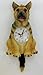German Shepherd Dog Pendulum Wall Clock Tail Wags