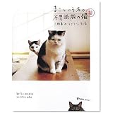 まこという名の不思議顔の猫 参 (MARBLE BOOKS)