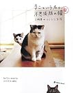 まこという名の不思議顔の猫 参
