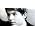 Thumbnail image of Raphael
