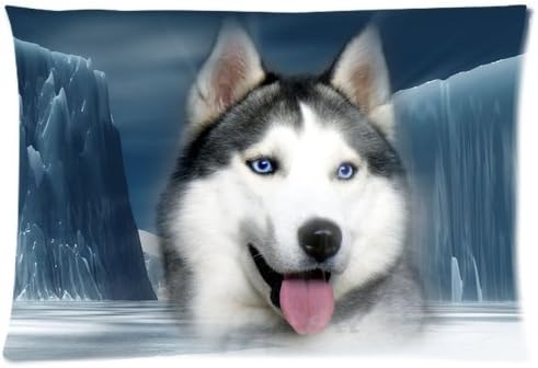 Pookeb Siberian Husky In Glacier Decorative Rectangle Soft Cover Print Custom Zippered Pillow Cases Standard Size Inch 20x30 (Twin sides) PLC165