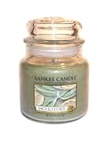 41dbbusUELL. SL160  Yankee Candle 14.5 oz Candle Jar SAGE & CITRUS