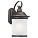 Sea Gull Lighting 89193PBLE-71 Outdoor One-Light Wall Lantern, Antique Bronze Finish, Frosted Glass