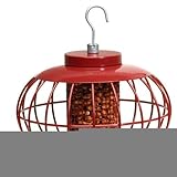 Squirrel & Predator Proof Chinese Lantern Nut Feeder