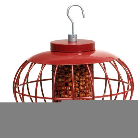 Squirrel & Predator Proof Chinese Lantern Nut Feeder