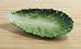 Romaine Lettuce Pasta Plate Case Pack 12