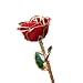 Lacquer Dipped Gold Trim Red Rose