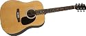 Rogue RA-100D Dreadnought Acoustic Guitar, Natural