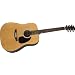 Rogue RA-100D Dreadnought Acoustic Guitar, Natural