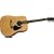 Rogue RA-100D Dreadnought Acoustic Guitar, Natural