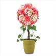 Rose Topiary