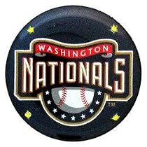 MLB Flashing Pin/Pendant - Washington Nationals