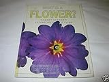 What is a flower?