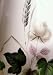 Palissy Shadow Rose Coffee Pot and cover
