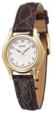 Seiko Women's SXGN38 Brown Leather Strap Watch