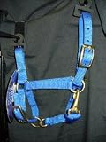 Weaver Miniature Horse Mini Horse Nylon Halter Blue Adjustable Chin