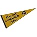 Wincraft NCAA 83614012 Notre Dame Premium Pennant, 12