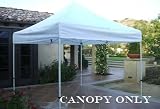 10ftx10ft Replacement Canopy White (Top Only)
