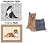 yorkshire_terrier14yorkshire terrier - Yorkshire Terrier Mouse Pad