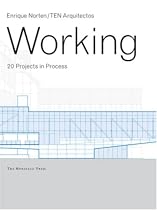 Working: 20 Projects in Process