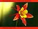 Treating Depression: A Balanced Approach Treating Depression: A Balanced Approach
