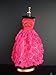 A Hot Pink Knee Length Dress Covered in Roses It so Cute Also Avail in Silver, Red, and Purple Made to Fit the Barbie Doll