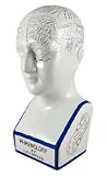 Blue / White Ceramic Phrenology Head Bust Brain