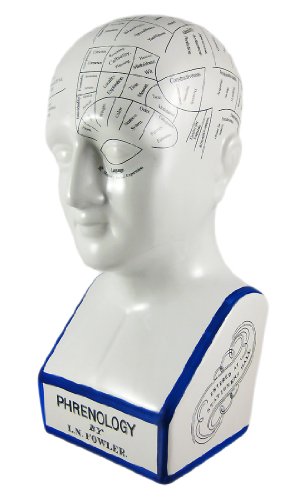 `Scratch and Dent` Blue / White Porcelain Phrenology 