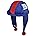 New York Giants