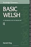 Basic Welsh: A Grammar and Workbook (Grammar Workbooks)