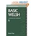Basic Welsh: A Grammar and Workbook (Grammar Workbooks)