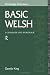 Basic Welsh: A Grammar and Workbook (Grammar Workbooks)