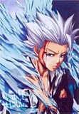 Bleach Cloth Wall Scroll Poster YA-128