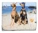 Doberman Pair Wallet