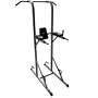 XMark Power Tower with Dip Station and Pull Up Bar