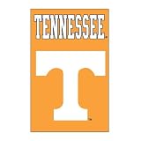 Tennessee Volunteers NCAA Applique Banner Flag (44x28)