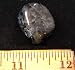Tumbled Iolite (1" - 1-1/2") - 1pc.