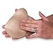 Nasco Breast Self Exam Model * Each * Model # SB14913U