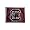 South Carolina Fighting Gamecocks