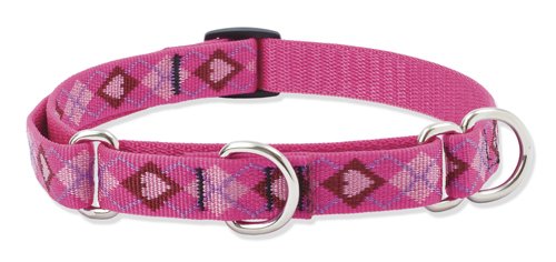 Lupine 3/4 Puppy Love 14-20 Combo Dog Collar