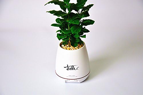 Deshun USB Vase and Pencil Cup with 2.0 2-Port USB Charger(White)