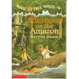 Afternoon on the Amazon